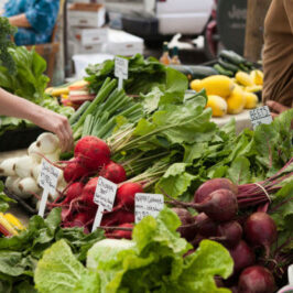 Your Go-To List of Every Long Island Farmers Market This Fall!